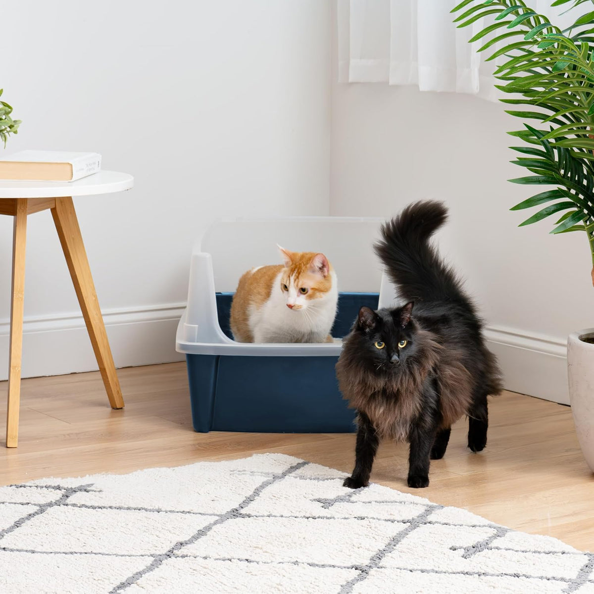 IRIS USA XX-Large High Sided Cat Litter Box, Scatter Shield, Navy