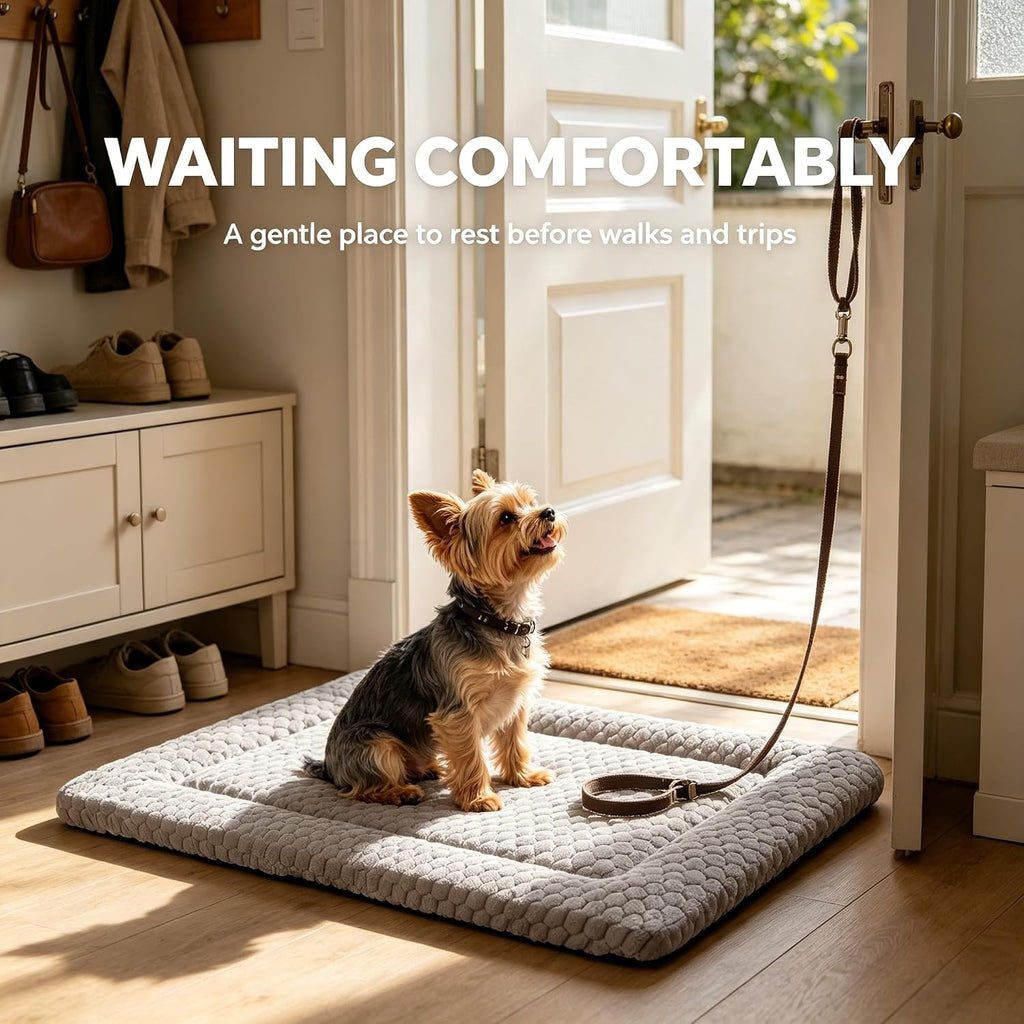 Dog Bed Mat - Durable & Cute Crate Dog Beds for Small Dogs & Cats, Comfortable Kennel Pad for Home, Crate & Travel