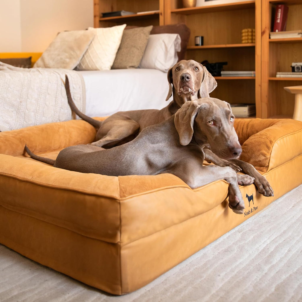 NOAH & PAW XXL Dog Bed, Orthopedic Memory Cooling Foam (2X Base) 55x45x11in