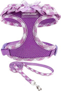 EXPAWLORER Step-in Small Dog Harness and Leash Set, Purple M
