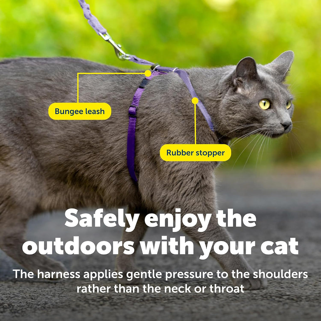 PetSafe Come with Me Kitty Harness and Bungee Cat Leash, Lilac, Small