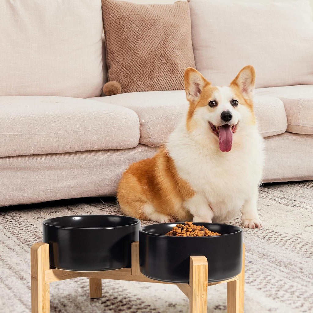 Elevated Ceramic Dog Bowl, 3.6 Cups Dog Food and Water Bowl Set with Stand | 6.1'' Double Dog Feeding Dishes, Non-Slip Raised Dog Feeder for Small and Medium Breeds, 28.74 OZ / 850 ML, White