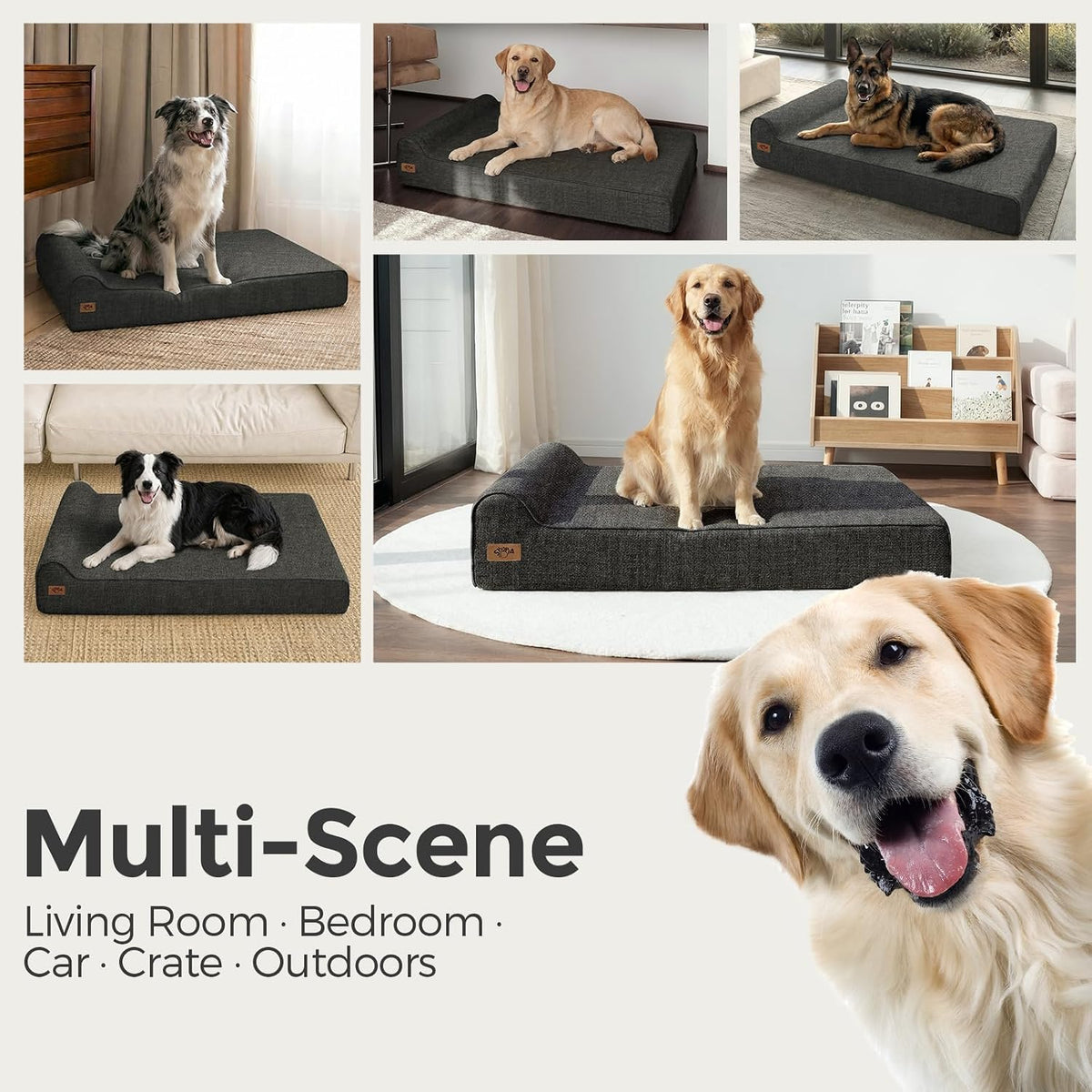 Sytopia 7" Thick Orthopedic Dog Beds for Extra Large Dogs (50" x 34" x 7"), Chew Proof Fabric Cover, 35D Memory Foam Dog Beds with Durable Waterproof Liner & Removable Washable Cover, Black
