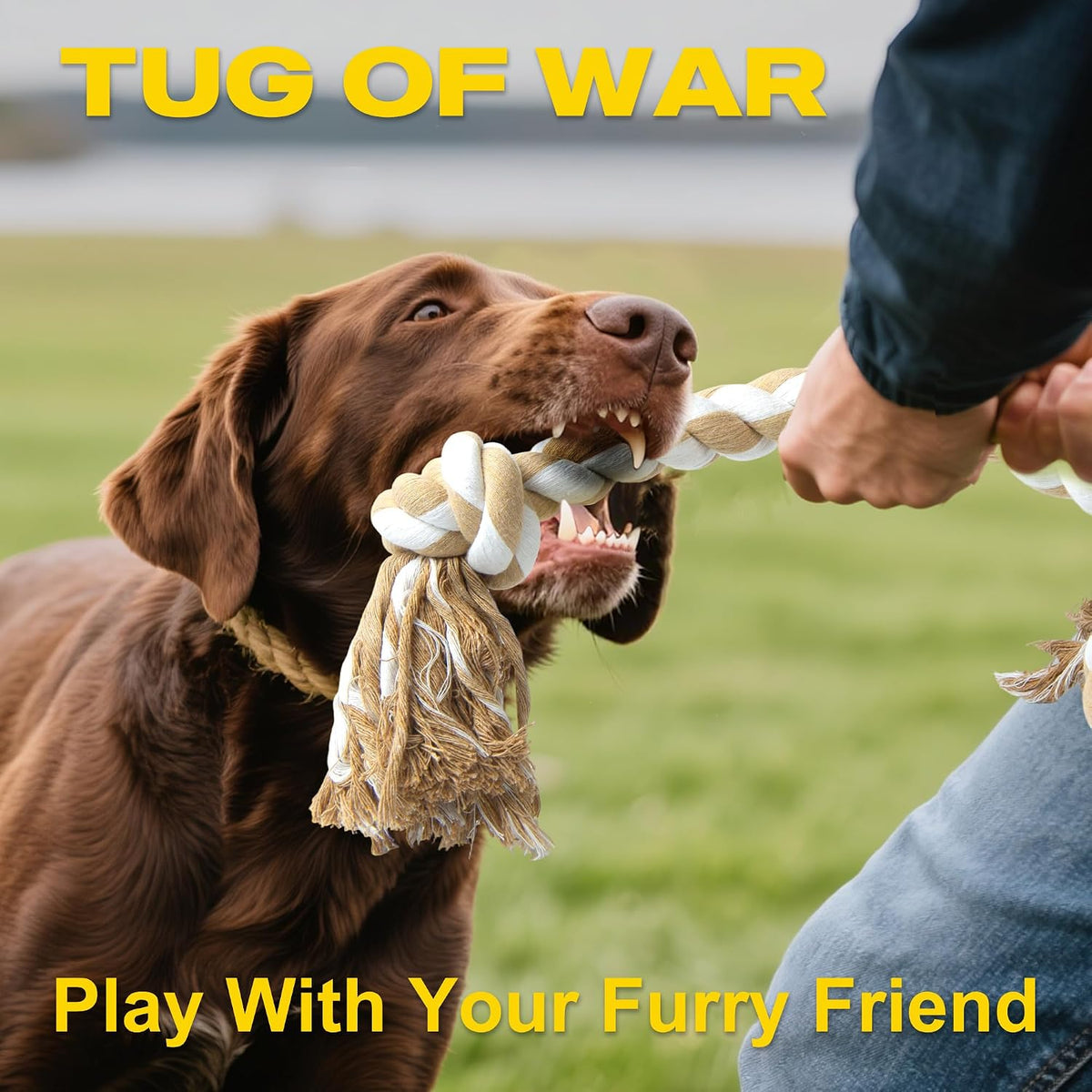 Fida Dog Rope Toys for Medium Large Dogs, Chew Toys for Aggressive Chewers | Natural Cotton, Heavy Duty Pull Rope for Tug of War and Interactive Play, Tough 3 Knots, Teeth Cleaning