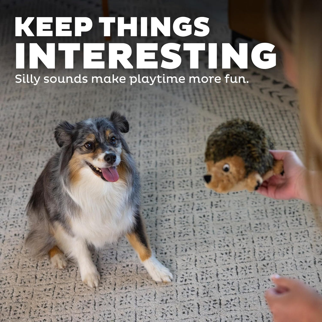 Outward Hound Hedgehogz Plush Dog Toy, Squeaks & Grunts, Medium, 9" x 6.5" | Soft Realistic Faux Fur, Round for Rolling & Chasing, Cuddle & Carry, Interactive Fetch, Light Chewers, Dogs & Puppies