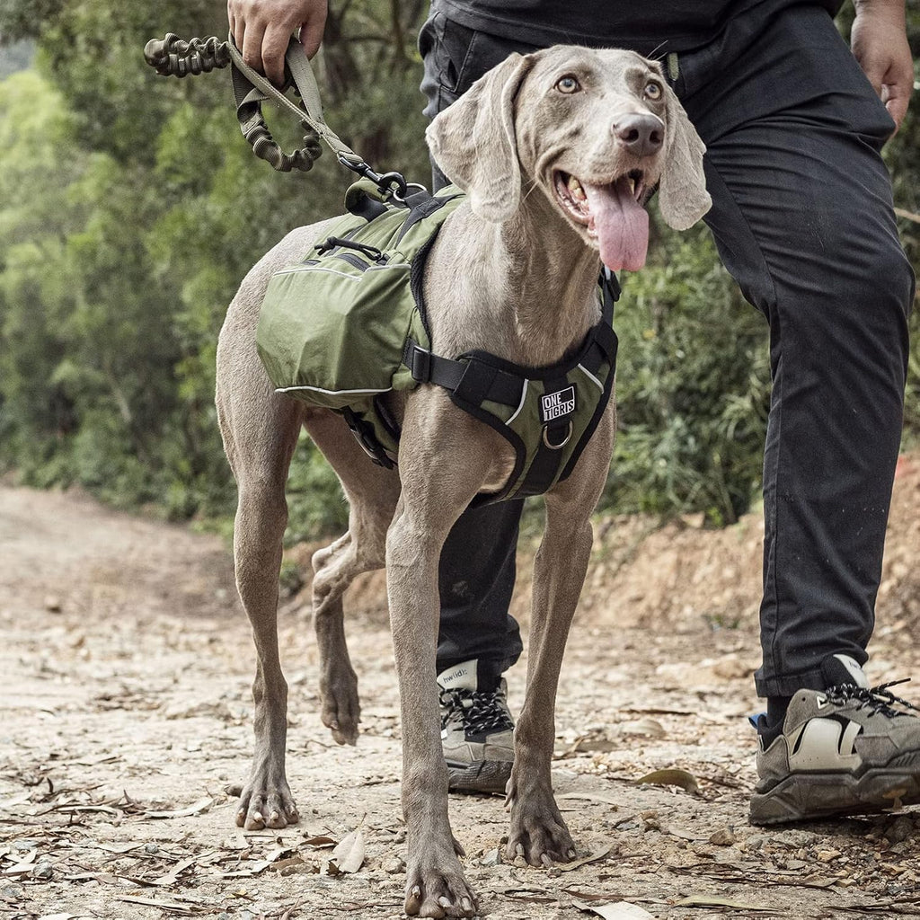 ONETIGRIS Y-Shaped Dog Backpack with Handle, Pockets & No Pull D-Rings, Lightweight Hiking Gear for Dogs Hunting Camping Travel (Large, Green)