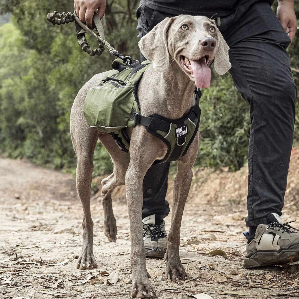 ONETIGRIS Y-Shaped Dog Backpack with Handle, Pockets & No Pull D-Rings, Lightweight Hiking Gear for Dogs Hunting Camping Travel (Large, Green)