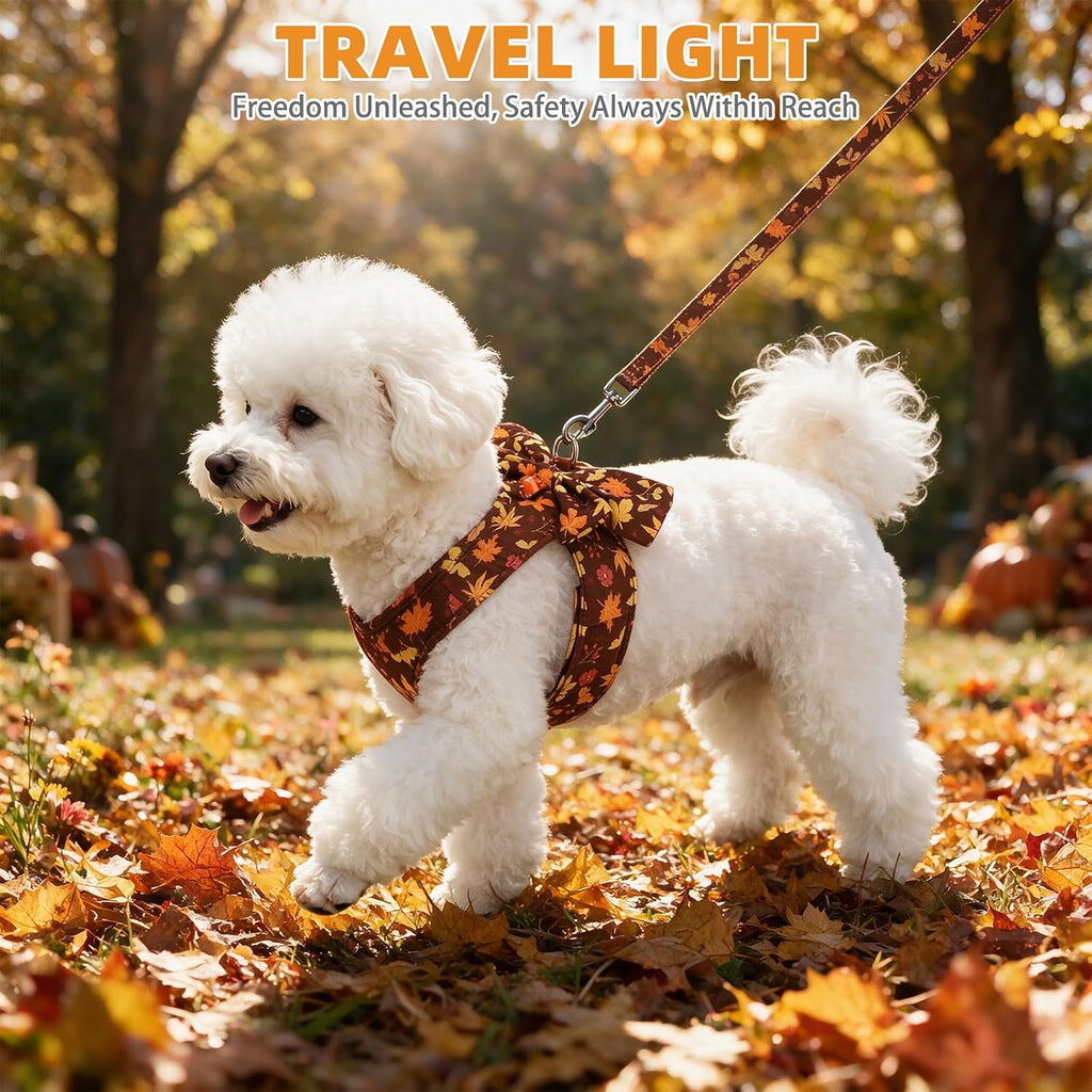 KOOLTAIL Fall Dog Harness and Leash Set for Small Medium Dogs Cats,Thanksgiving Cute Puppy Vest Harnesses with Bowtie, Step in No Pull Soft Mesh Padded Adjustable Harness for Extra-Samll Pet Boy Girl