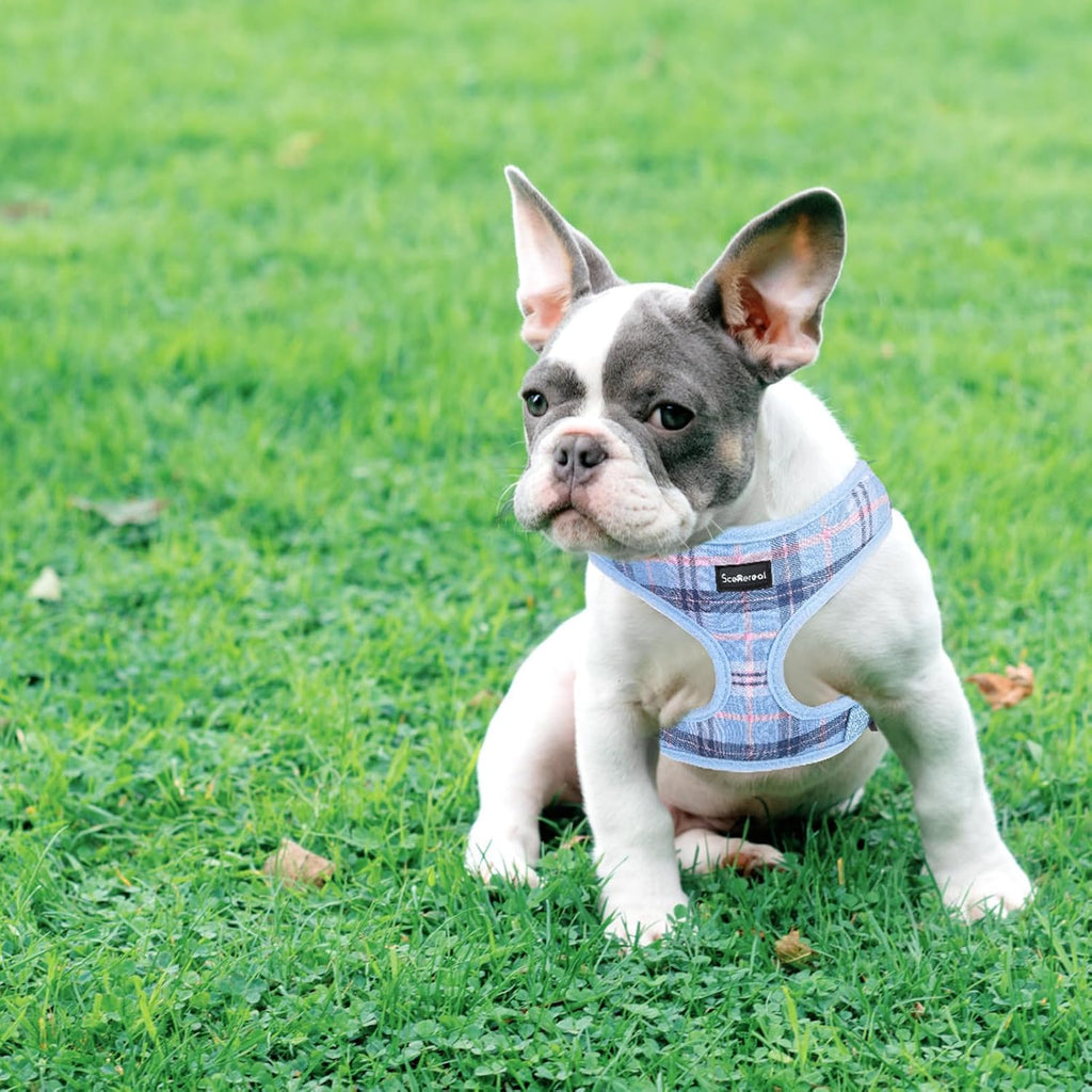 SCENEREAL Puppy Dog Harness with Leash Set for Small Medium Sized Dogs