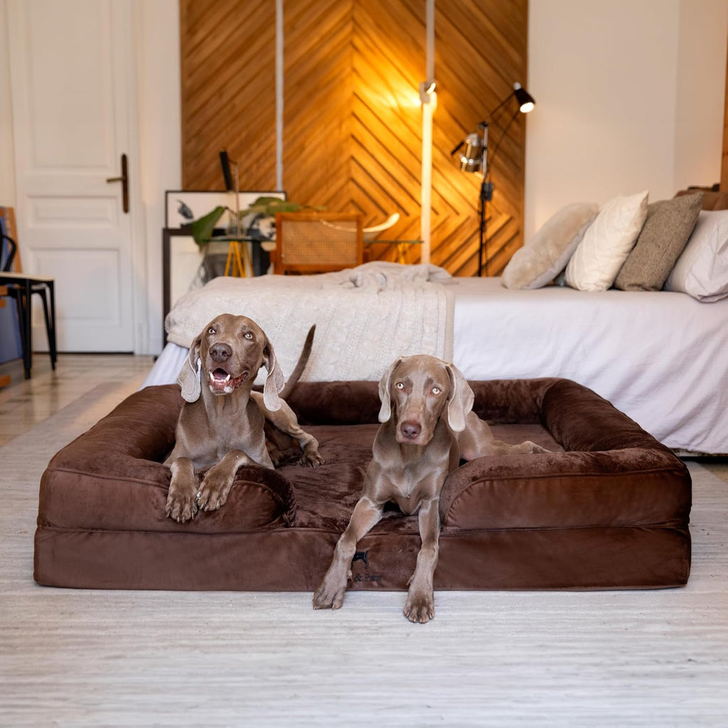 NOAH & PAW Large Dog Bed, Orthopedic Memory Cooling Foam (2X Base) 45x35x11