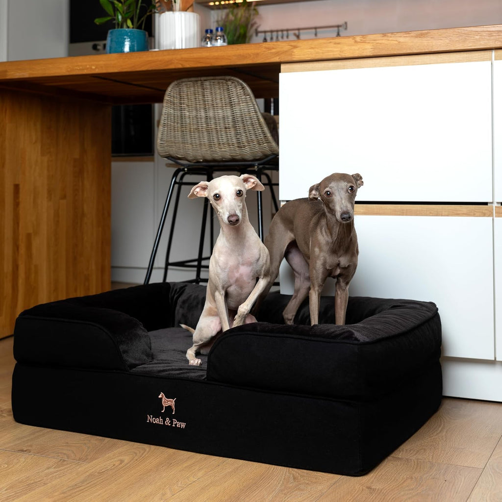 NOAH & PAW Dog Bed, Orthopedic Memory Cooling Foam (2X Base) 35x25x11in