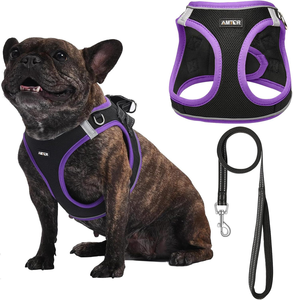 AMTOR Small Dog Harness with Leash Set, No Escape Easy Walk Puppy Harnesses for Training Walking, Step-in Reflective Soft Dogs Vest for XS S Medium Extra-Small Large Sized Dog(Black/Purple,XS)