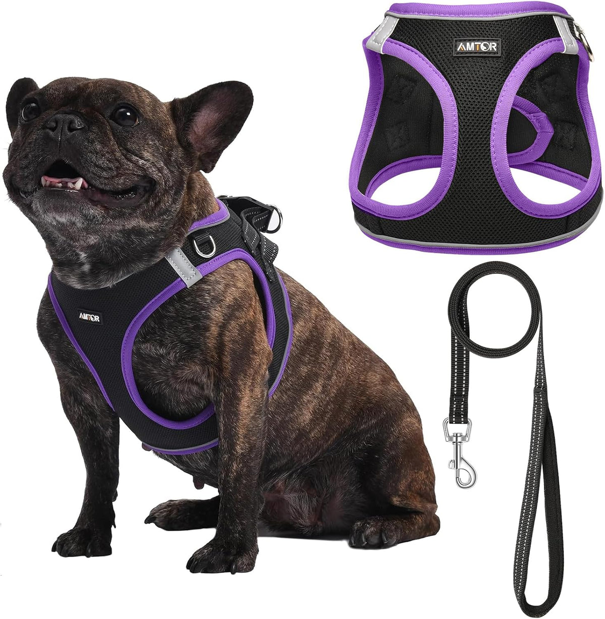 AMTOR Small Dog Harness with Leash Set, No Escape Easy Walk Puppy Harnesses for Training Walking, Step-in Reflective Soft Dogs Vest for XS S Medium Extra-Small Large Sized Dog(Black/Purple,XS)