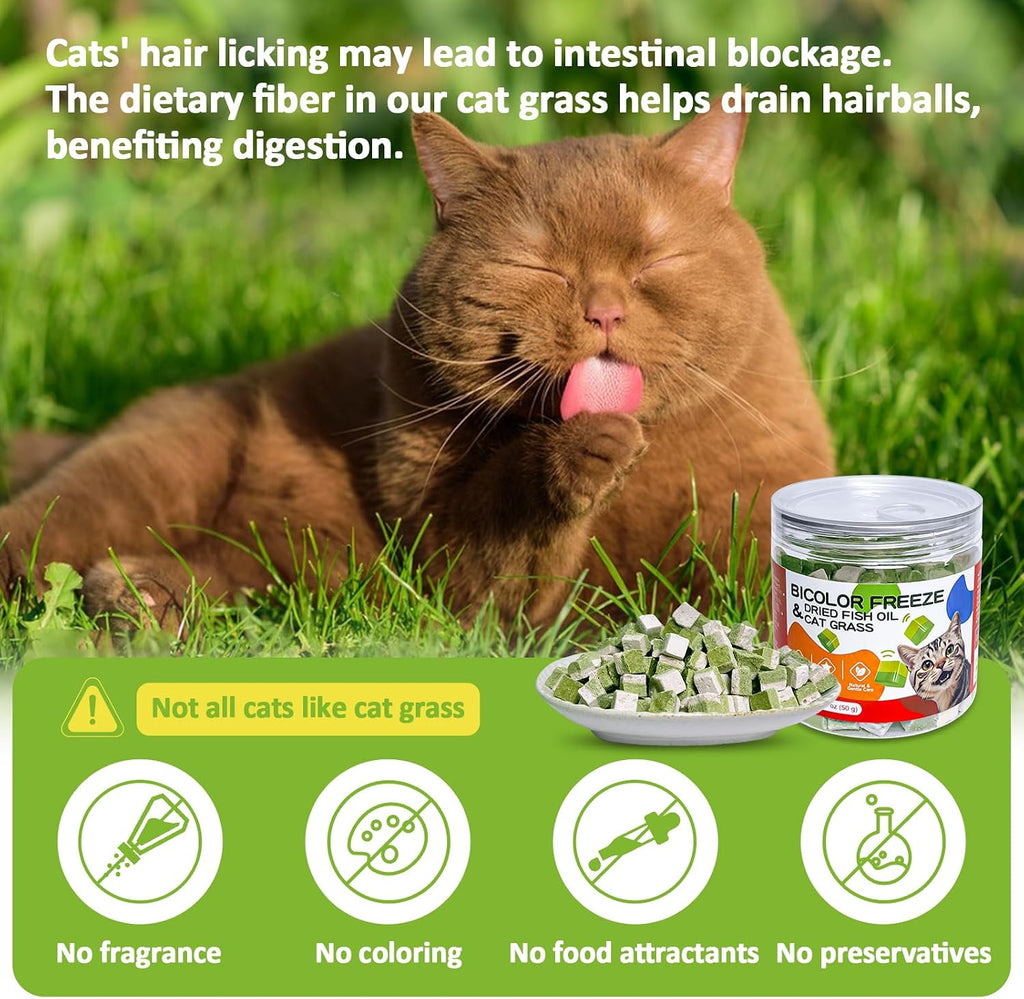 Freeze-Dried Cat Grass Treats with Omega-3 Fish Oil Blend - Hairball Control, Skin & Coat Health for Cats (Chicken & Fish Oil, 1.76 oz)