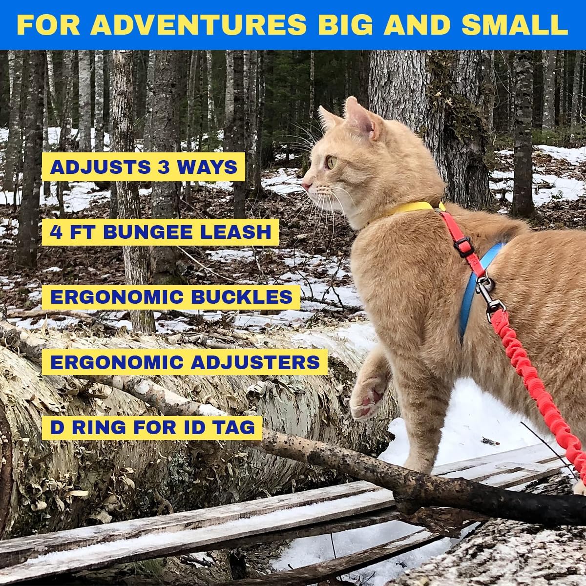 Travel Cat Harness and Bungee Leash Set - 2 in 1 Adjustable Escape Proof Cat Harness & Leash for Small, Medium, Large Cats, Kitten - Safe H-Style Cat Leash Harness for Outdoor Walking (Color Block)