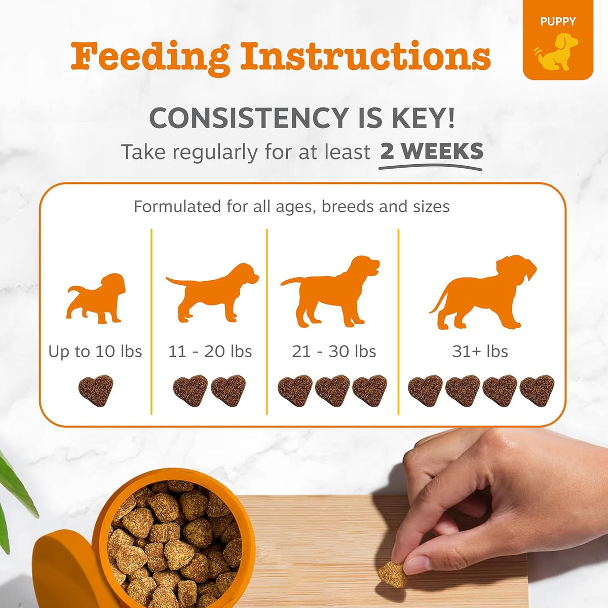 Zesty Paws Puppy Probiotics Bites - Gut Health for Dogs, Pumpkin, 90 Ct