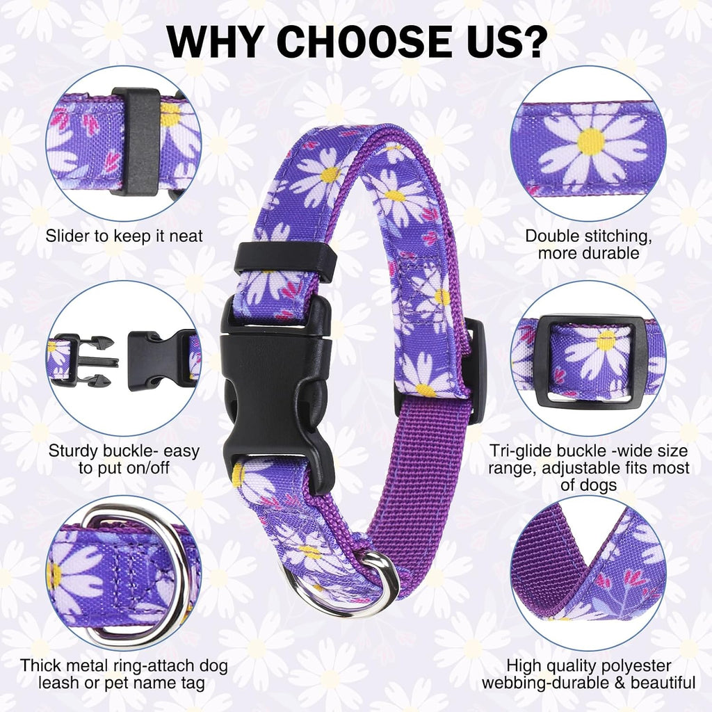 Dog Collar and Leash Set, Adjustable Pet Collars with 5FT Leash