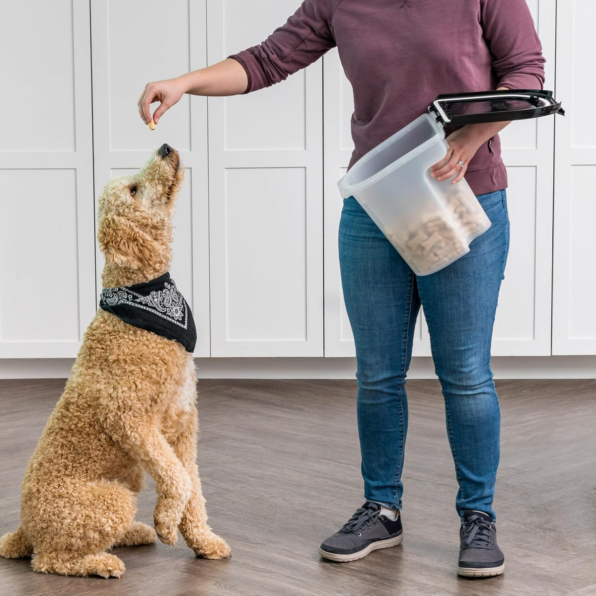 IRIS USA Dog Food Storage Container, Up to 6.5 lbs, Black, Made in USA | Airtight Seal, BPA-Free, Best for Bird Seed, Cat food, Cat Litter, Chicken Feed 