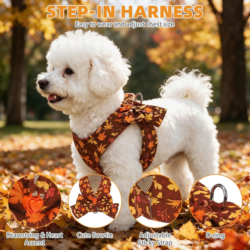 KOOLTAIL Fall Dog Harness and Leash Set for Small Medium Dogs Cats,Thanksgiving Cute Puppy Vest Harnesses with Bowtie, Step in No Pull Soft Mesh Padded Adjustable Harness for Extra-Samll Pet Boy Girl