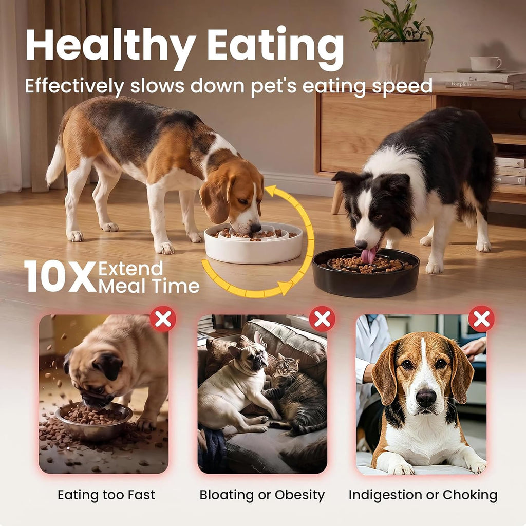2 Pack Ceramic Slow Feeder Dog Bowls 1.6 Cups for Medium & Small Fast Eater