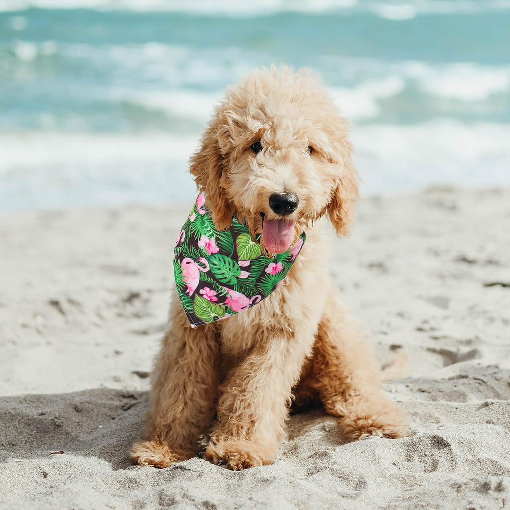 ADOGGYGO Summer Flamingo Dog Bandanas, 6 Pack Hawaiian Fruit Scarf, Small