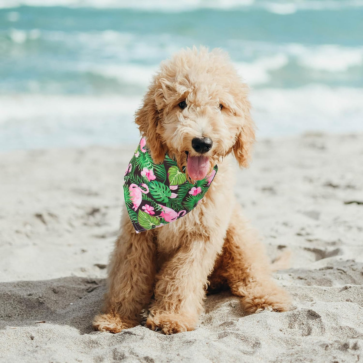 ADOGGYGO Summer Flamingo Dog Bandanas, 6 Pack Hawaiian Fruit Scarf, Small