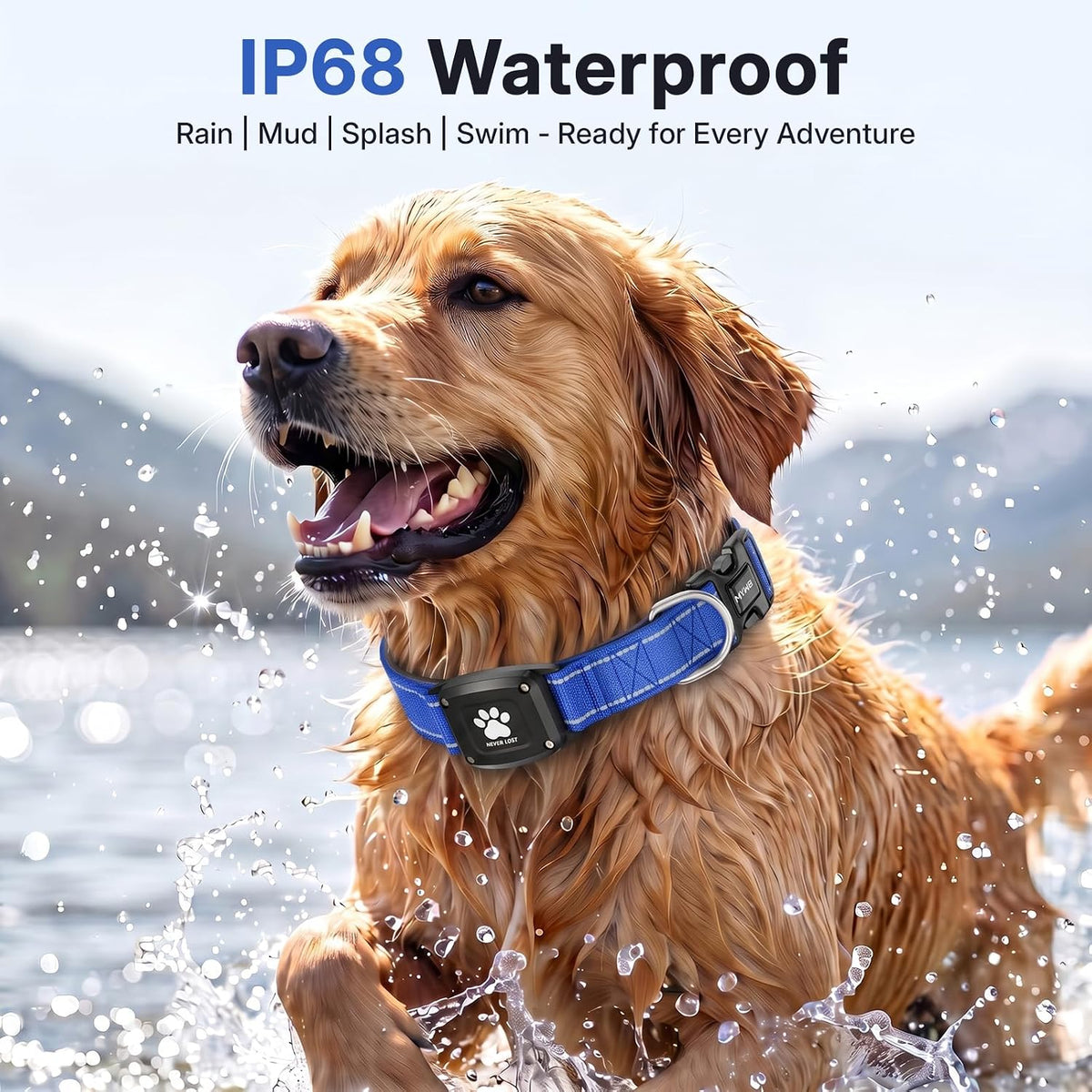GPS Dog Collar with Tracker, Waterproof, No Monthly Fee, Blue, S
