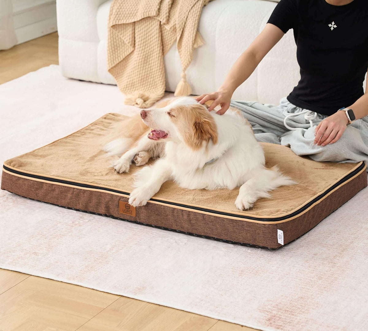 LIORCE Memory Foam XL Dog Bed - 4” Thick Orthopedic Beds for Extra Large Dogs - Waterproof Dog Bed with Removable Washable Cover & Wrap-Around Zipper - Ultimate Comfort and Easy Maintenance
