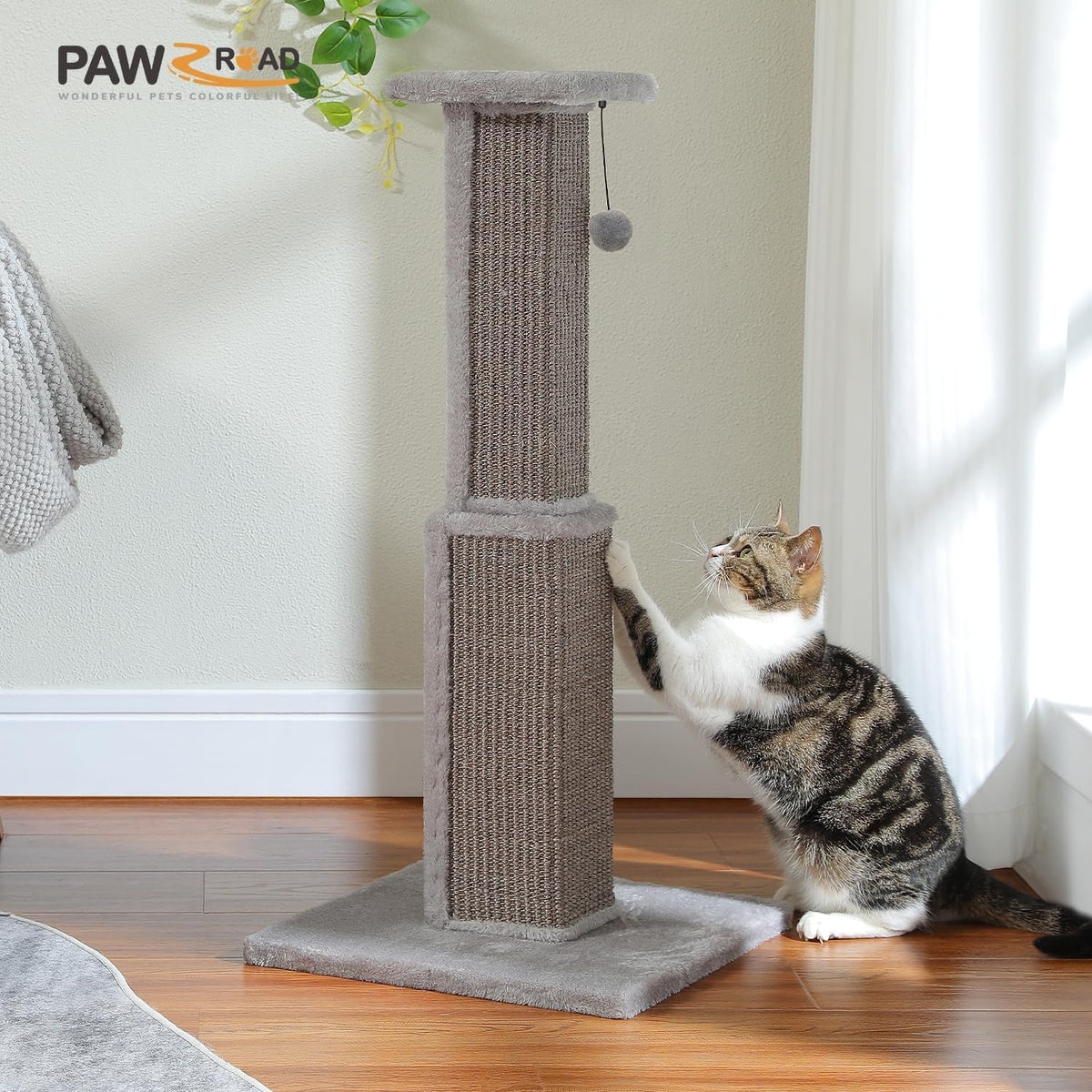 PAWZ Road Cat Scratching Post 32” Tall Square Cat Scratcher