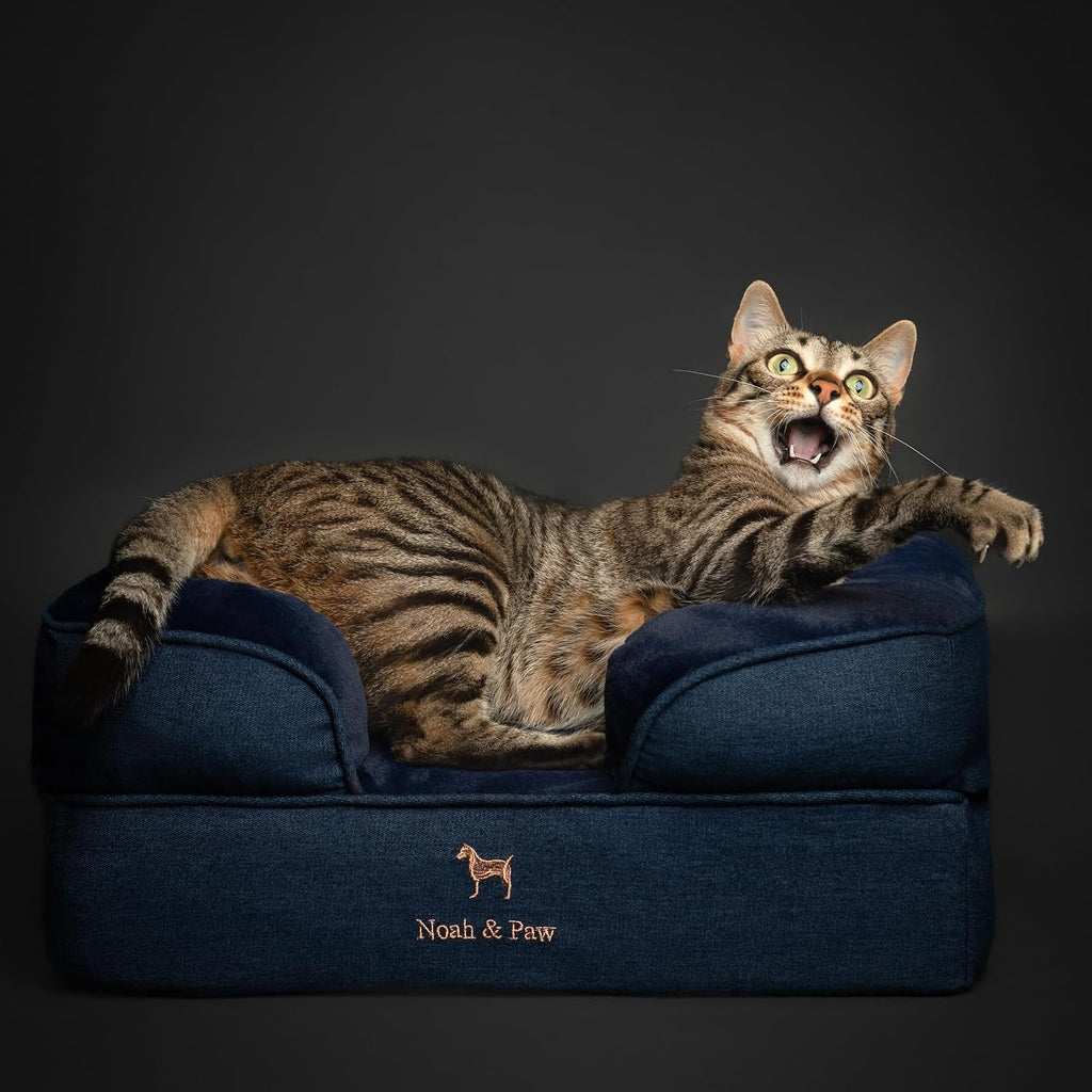 NOAH & PAW Cat Bed, XS Dog Bed, Orthopedic Memory Foam (2X Base) 20x15x8 in