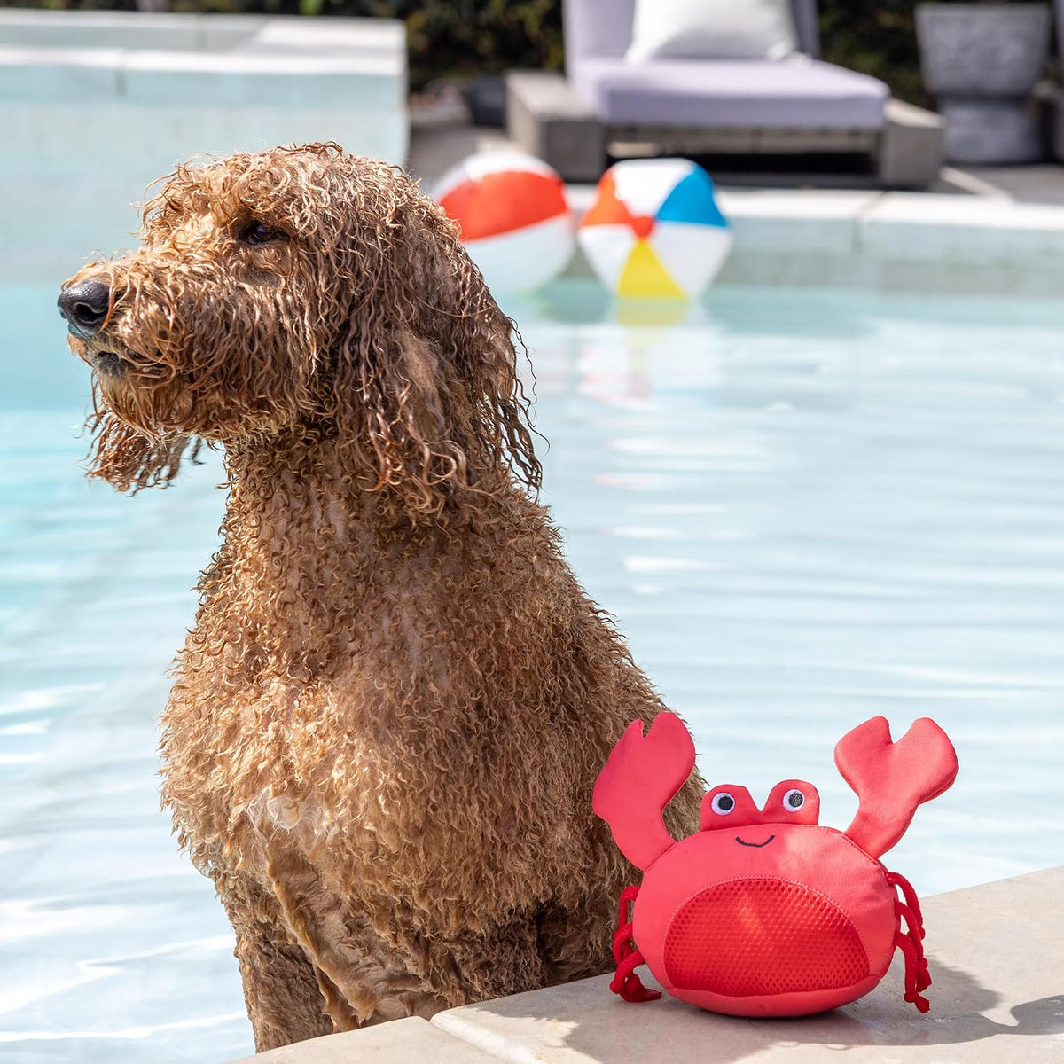 Fringe Studio Claws Floating Dog Toys, Pet Shop Collection (640007)