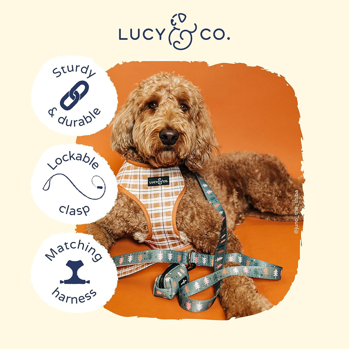 Lucy & Co. Designer Dog Leash - Pet Accessories - Thick Dog Leash - Padded Handle for Comfort - Purple with Green Floral - 5 Foot (Neutral Brown Plaid Blue Trees, Large)