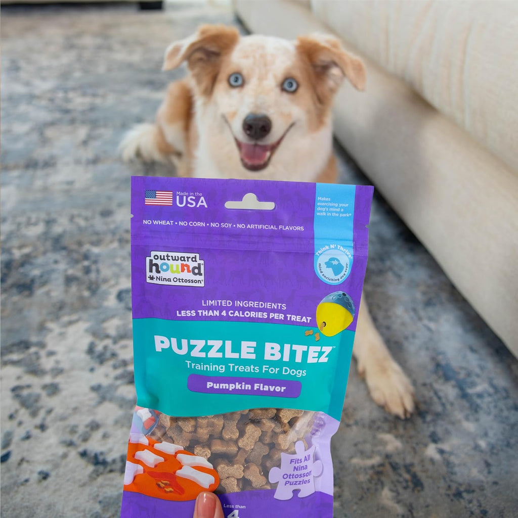 Outward Hound Nina Ottosson Puzzle Bitez Dog Treats, Pumpkin, 7.5 oz