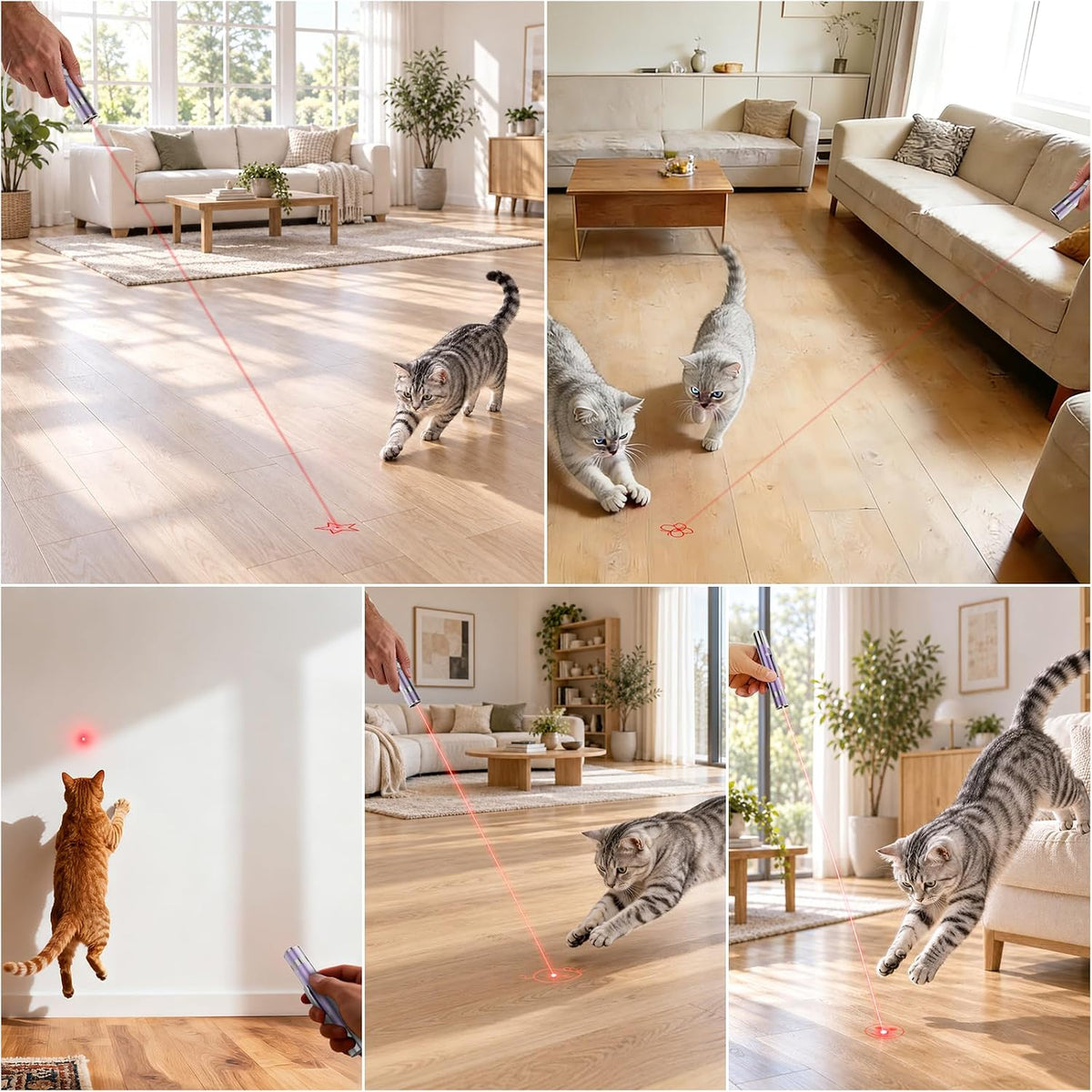 Cat Toys, Rechargeable, Interactive USB Chase Toy for Cats & Kittens