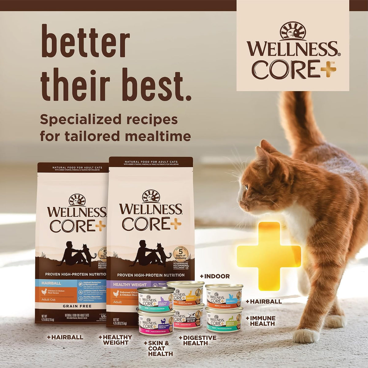 Wellness CORE+ Indoor Pate Adult Wet Cat Food, Natural, Protein-Rich, Grain Free, 2.8 Ounce, 12 Pack (Tuna & Tilapia)
