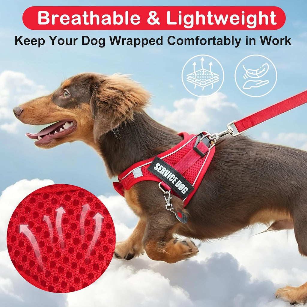 Service Dog Vest Harness for Small Breed Dogs with ID Tag 50 ADA Cards, 10 PCS Removable Patches, Emotional Support Animal Pet Harness, Lightweight Puppy Service Harnesses Set with Leash
