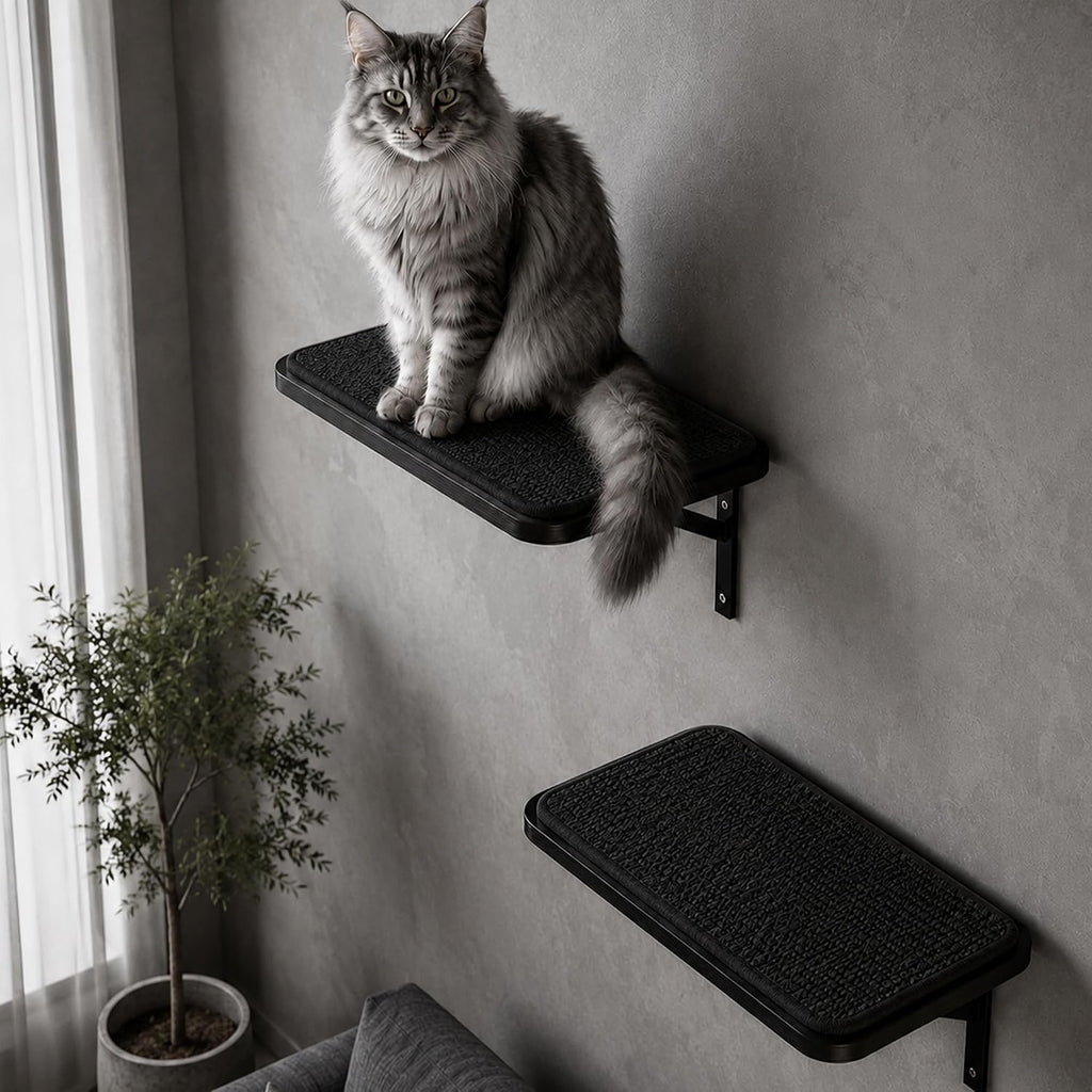 Cat Wall Shelves Set of 2, Black Solid Wood Window Perches with Sisal Mats