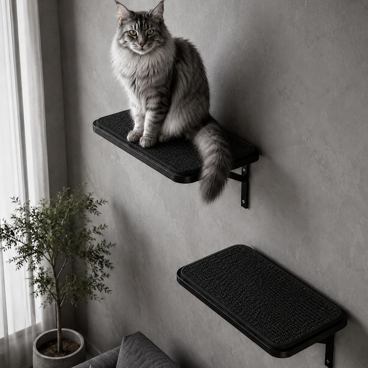 Cat Wall Shelves Set of 2, Black Solid Wood Window Perches with Sisal Mats