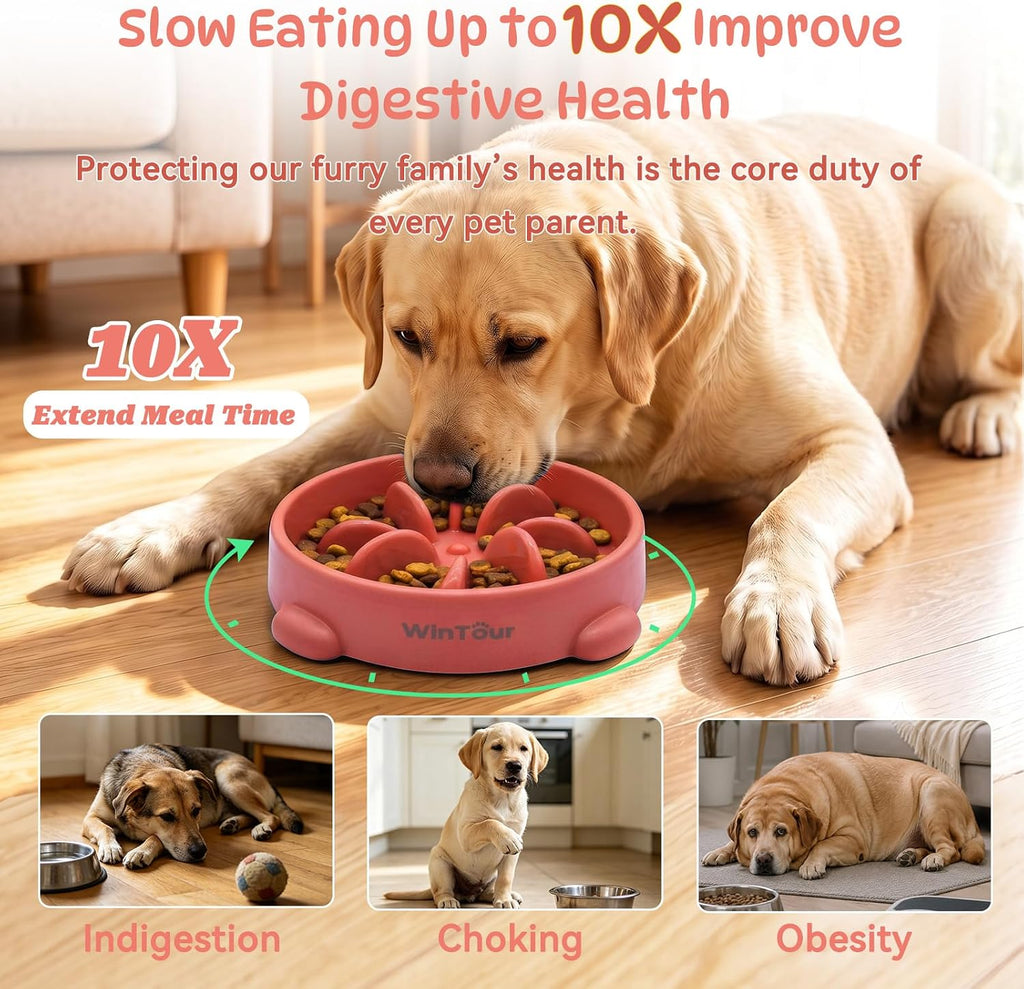 WinTour Slow Feeder Dog Bowls for Small Medium Pets, Round PP Dish, 1 Pack