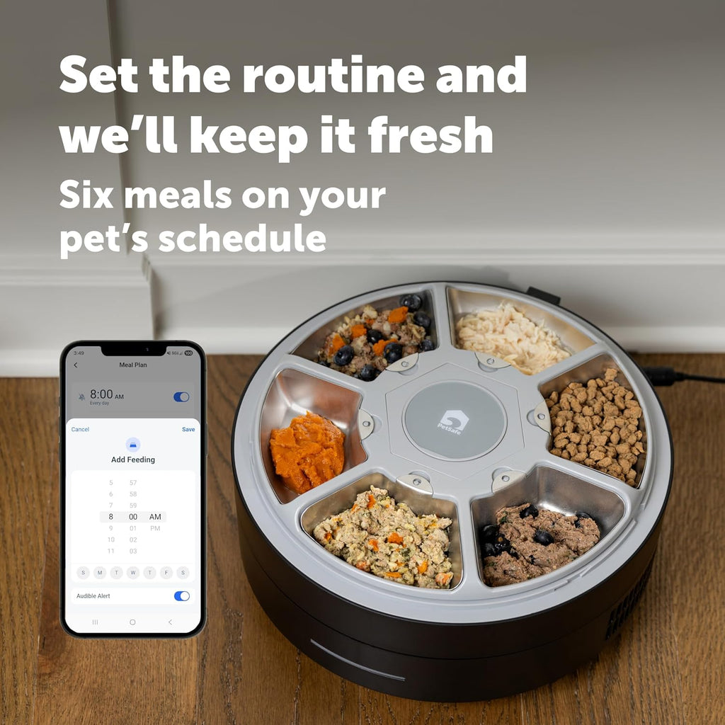 PetSafe FreshFeed Refrigerated Automatic Wet Food Feeder, 6 Meals, Black