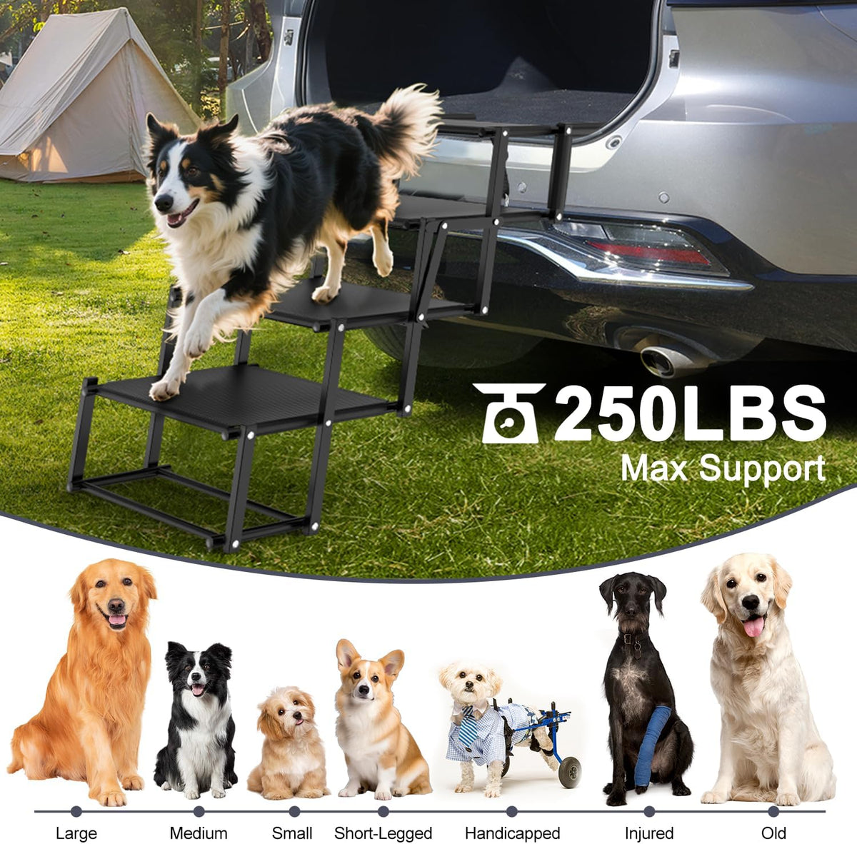 Extra Wide 20" Dog Stairs for Large Dogs, Dog Steps for Car 4 Steps