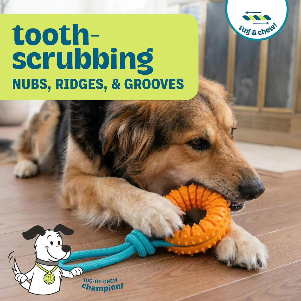 Dental Chew Wheel Durable Dog Toy, Tug & Chew, Mint Scent, 9.6" | Helps Keep Teeth Clean, Massages Gums, Rope & Textured Ring, Interactive Toss & Fetch, Moderate Chewers, Medium-Large Dogs