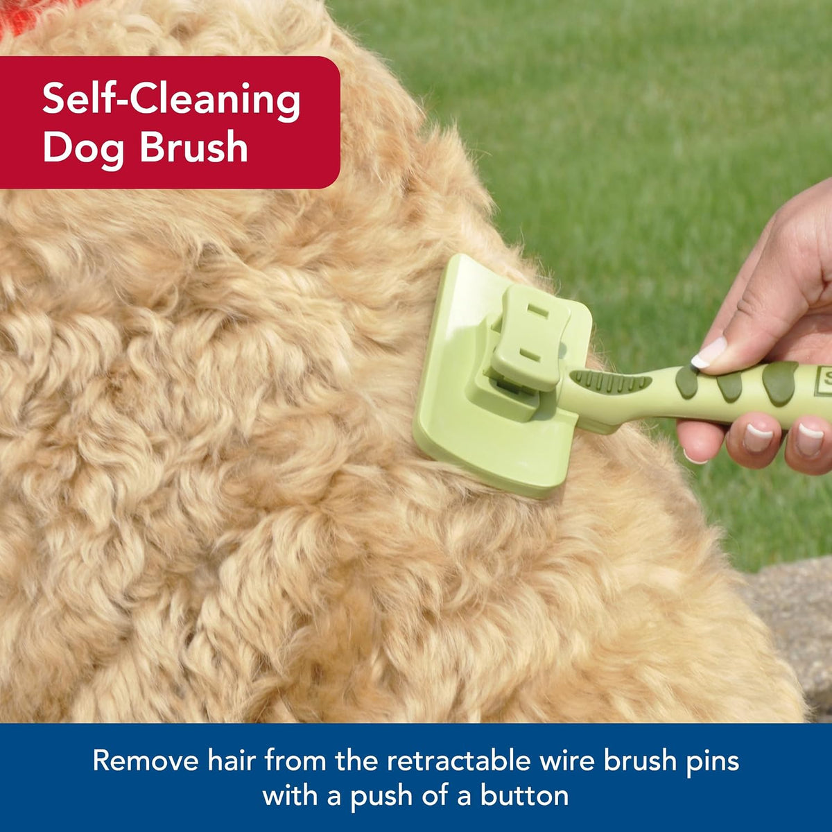 Coastal Pet Safari Dog Self-Cleaning Slicker Brush - Dog Deshedding Brush - Prevents Mats and Tangled Hair - For Dogs with Short or Long Hair - Medium - 4.25" x 4.06" 
