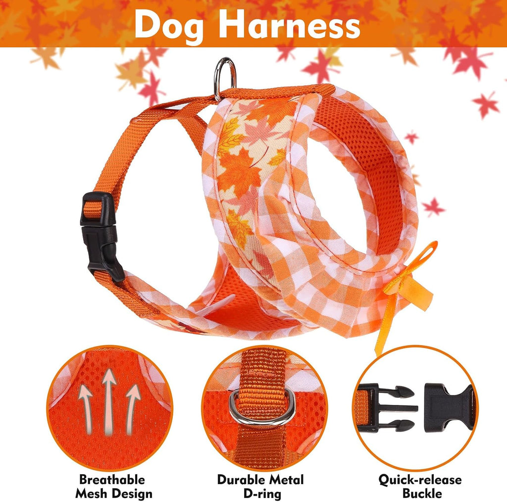 EXPAWLORER Fall Dog Harness and Leash Set Small Sized