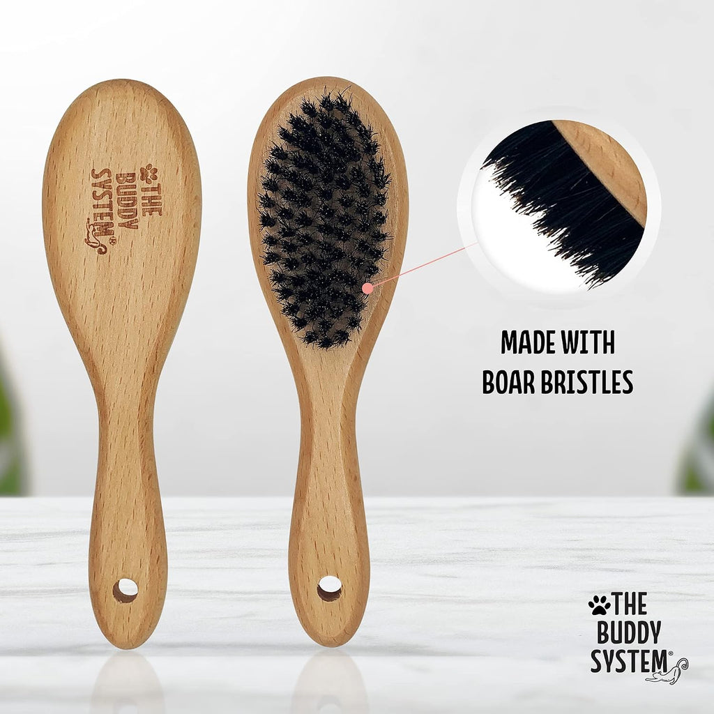 The Buddy System - Soft Cat Brush with Boar Bristles, 1 Pack | Cat brush with wooden handle, daily grooming pet brush, reduce shedding and gives coat a healthy shine - boar bristles 