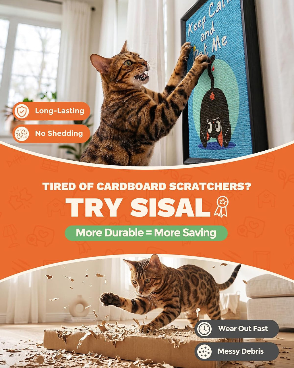 Decorative Wall Art Cat Scratcher Funny Cat Quote Sisal Scratch Pad