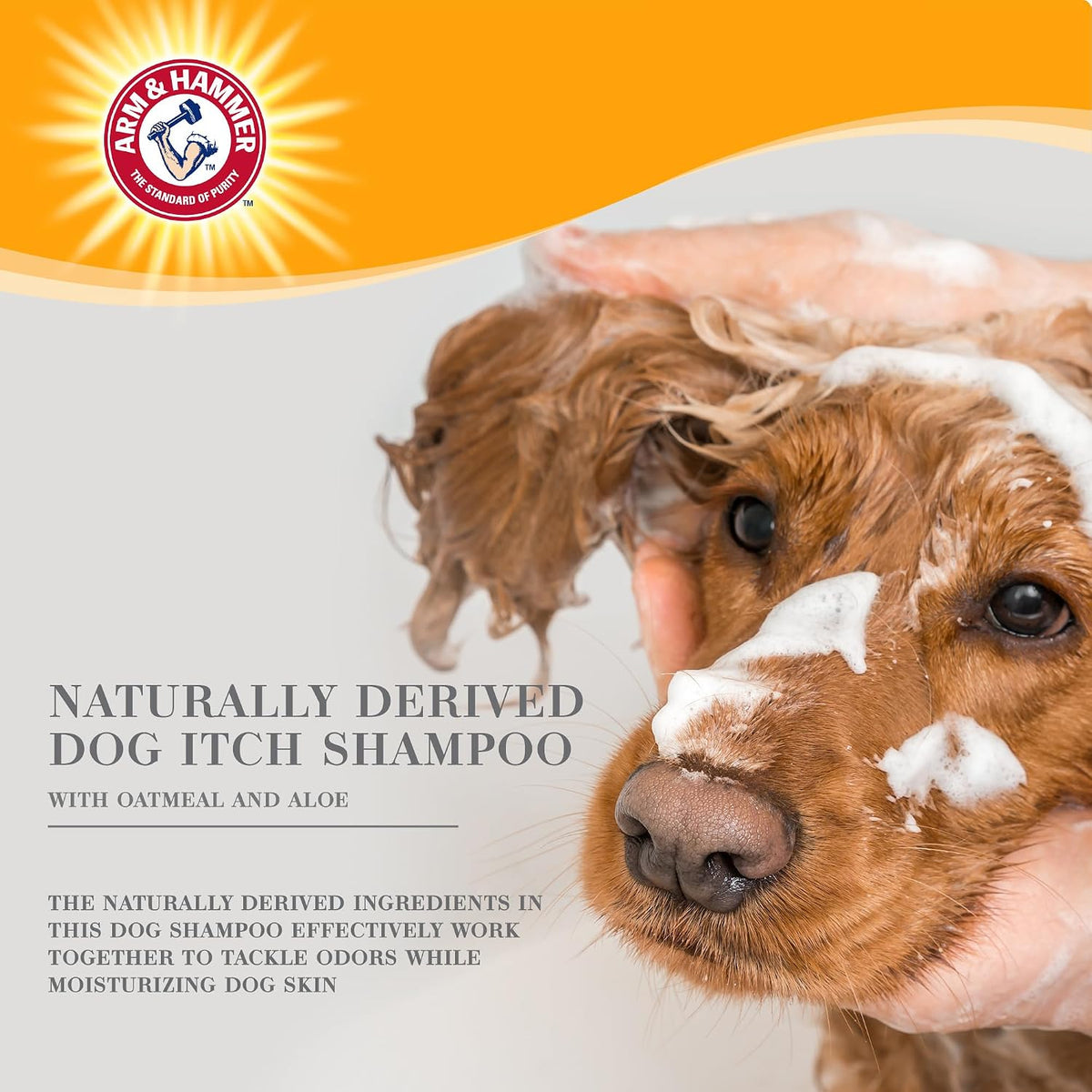Arm & Hammer Ultra Fresh Oatmeal Dog Shampoo, Aloe, 24 Fl Oz