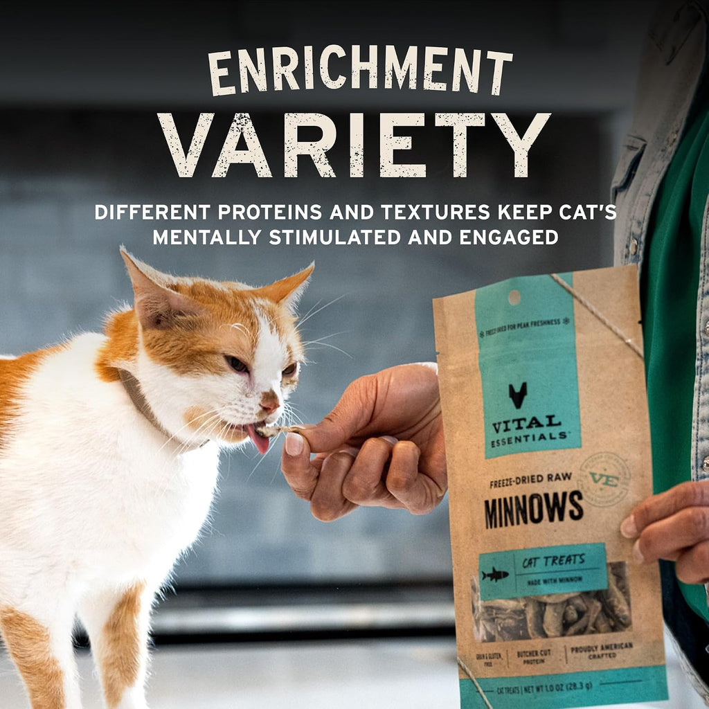 Vital Essentials Freeze Dried Cat Treats, Ahi Tuna Bites, 1.1 oz Bag