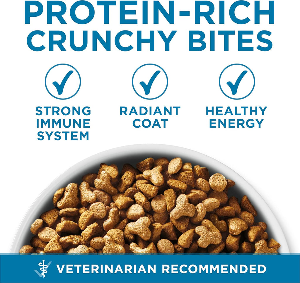 Purina ONE Indoor Advantage Senior Dry Cat Food, High Protein, 3.5 lb Bag