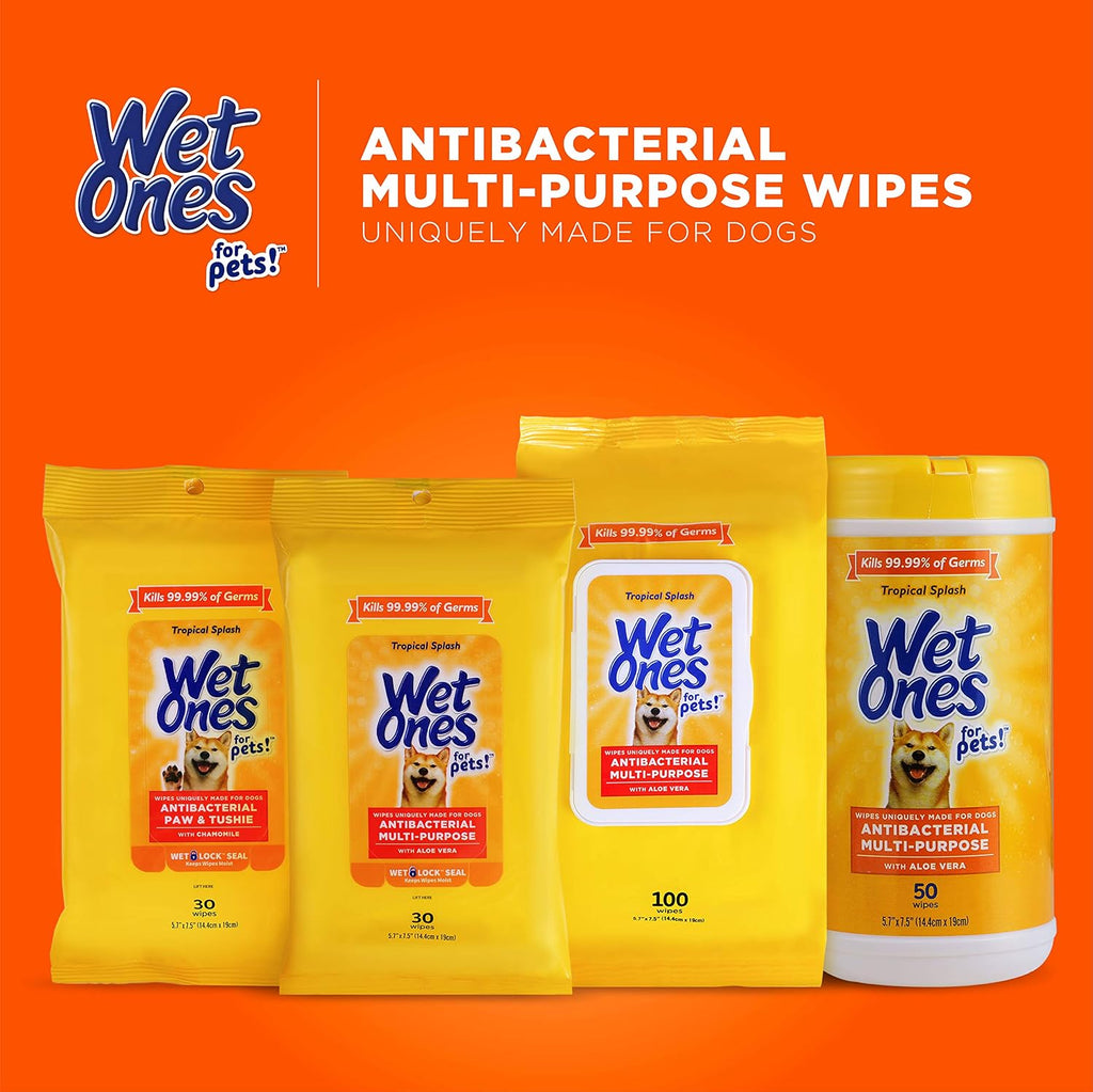 Wet Ones for Pets Antibacterial Dog Wipes, Tropical Splash, 50 Count, 3-Pk | Multi-purpose grooming wipes with aloe vera for paws, face, and body, easy cleanups between baths 
